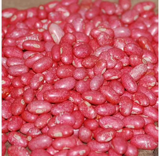 Ayşe Kadın Fasulye Tohumu 100 Gr