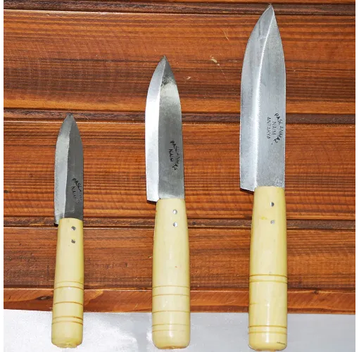 Sivri Uç Bıçak Seti 