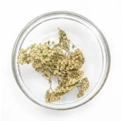 Civan Perçemi (100 Gr)