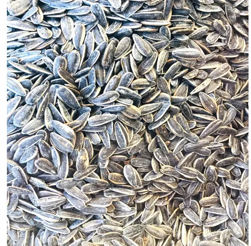 Ay Çekirdeği Dokato Az Tuzlu 1 Kg