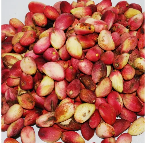 Firik Antep Fıstığı 1 Kg