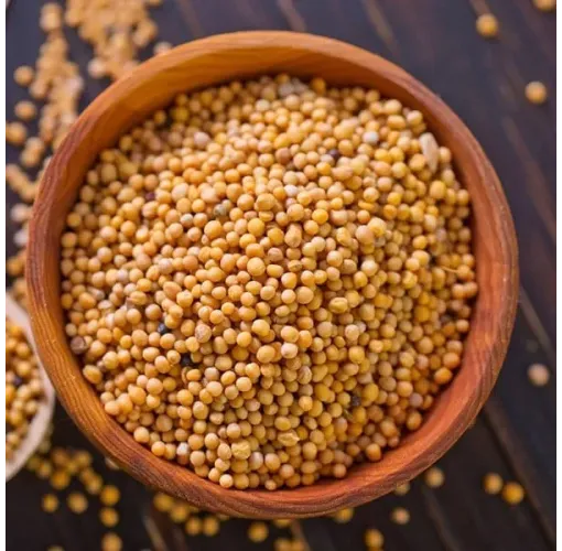 Hardal Tohumu - Sarı 100 Gr