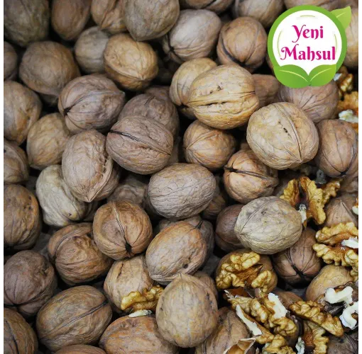 Kabuklu Ceviz Yayladağı İnce Kabuk 1 Kg