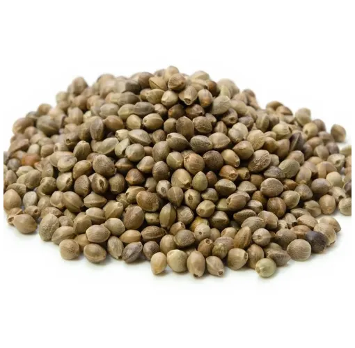 Kendir Tohumu  - Tane 500 Gr