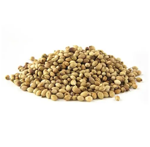 Kişniş - Tane 250 Gr