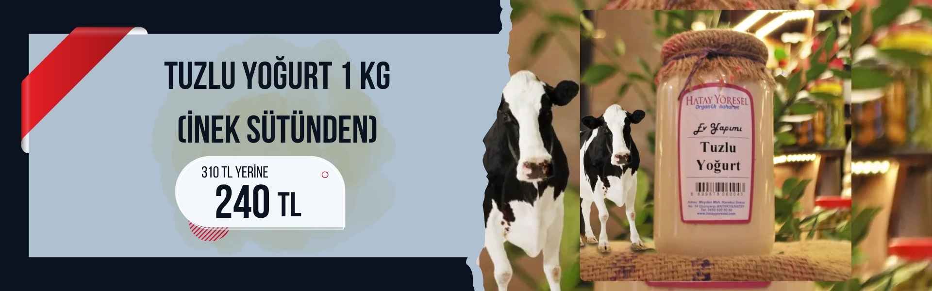 Tuzlu Yoğurt