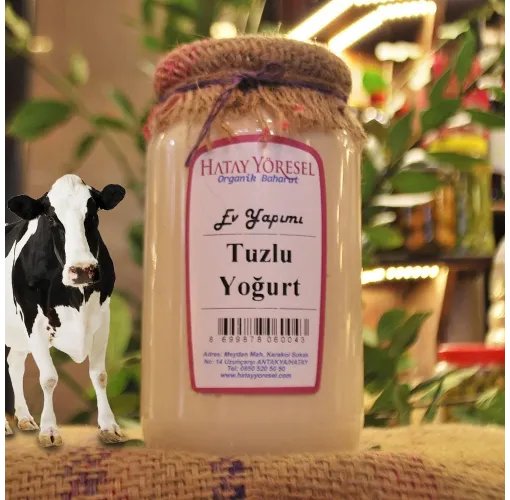 Tuzluyoğurt ( İnek Sütünden ) 1 Kg